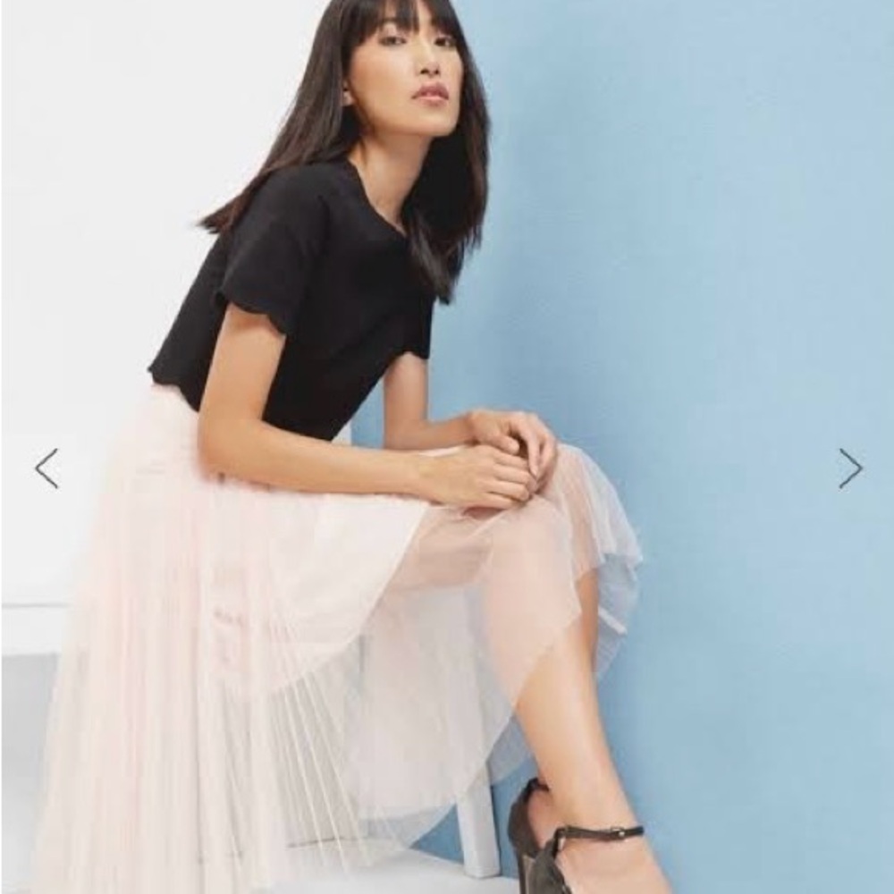 Beautiful Ted Baker Tulle Skirt